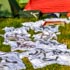 Foto DSC_0037.jpg 