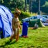 Foto DSC_0043.jpg 