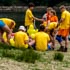 Foto DSC_0101.jpg 
