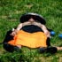 Foto DSC_0109.jpg 