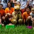Foto DSC_0335.jpg 